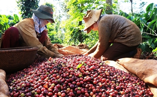 Vietnam’s Jan.-July trade surplus widens to $8.4bln despite virus