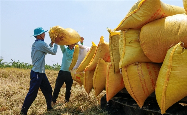 Exporters bank on EU trade pact for pandemic relief