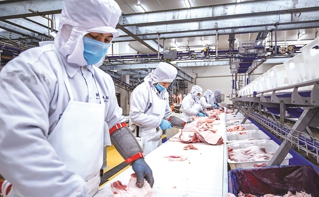 Thịt heo bày thế trận cạnh tranh trong EVFTA