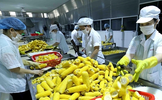 Vietnam strives to earn $40 billion in agricultural exports