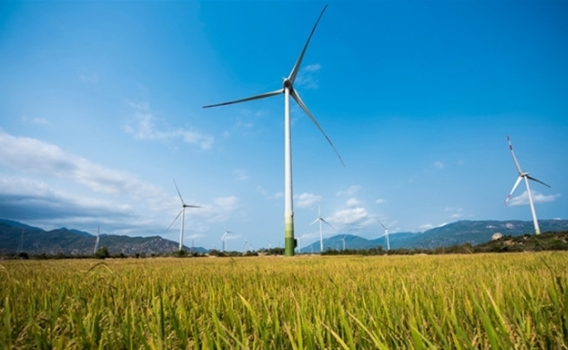 Vietnam to stop licensing of wind power plants