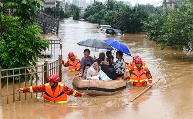 Natural disasters cost Vietnam $11bln annually, World Bank says