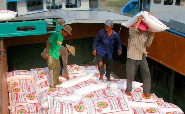 Gạo Việt tăng tốc trên thị trường xuất khẩu lẫn nội địa