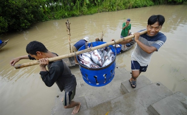 Vietnam’s Nov. trade surplus plunges to $600 million from $2.9 bln in Oct.