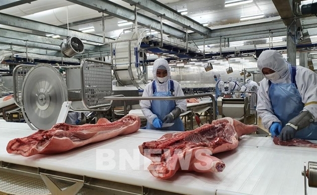 Russia’s AVG Group to build $1.4 bln pig farm in Thanh Hoa province