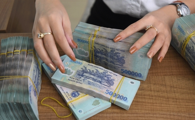 Vietnam's credit growth up 5.1 pct as of June 15 from end-2020