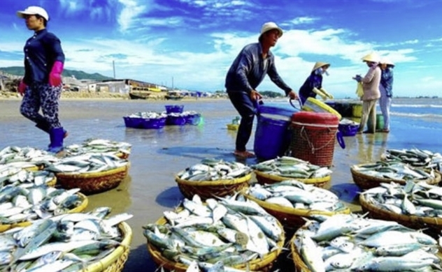 Vietnam’s fishery exports hit $4.1 billion in the first half, up 13.6%