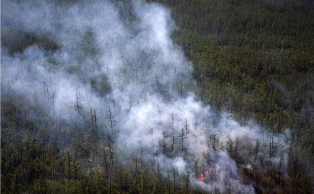 Vụ cháy rừng lớn nhất thế giới, hơn mọi hoả hoạn toàn cầu cộng lại