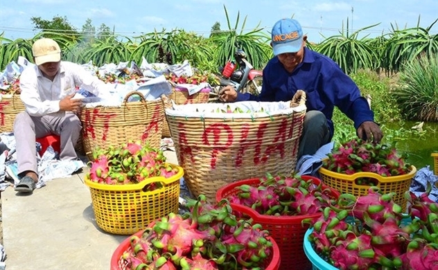 Vietnam’s trade surplus to UK nearly $4.5 billion