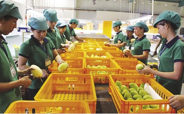 Vietnam – EU 2021 bilateral trade reaches $63.6 bln, up 14.8%