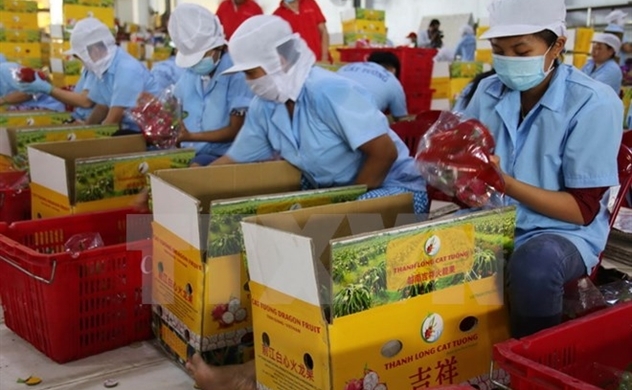 Nông sản Việt ứng biến trước những khó khăn 