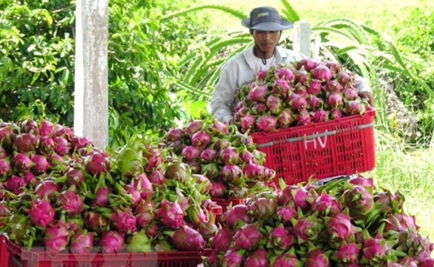 Vietnam’s annual farm produce exports targeted at $50 billion