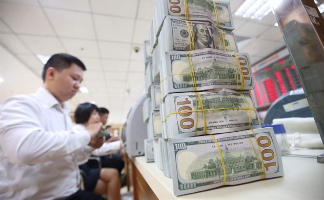 Vietnam’s foreign reserves rise to $110 bln, 10 times higher than 2010