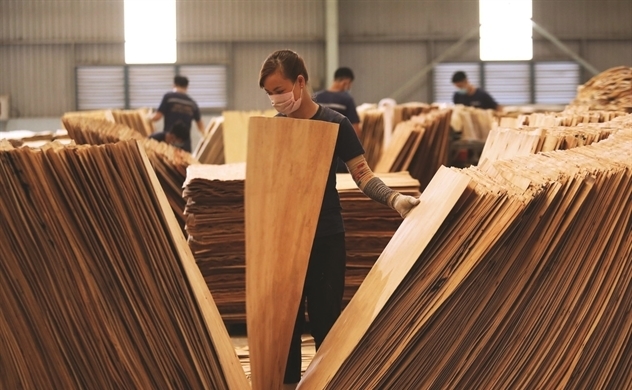 Doanh nghiệp gỗ không thiếu đơn hàng nhưng nhiều nỗi lo