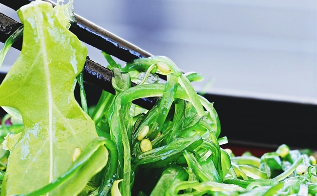 Từ tảo đến in 4D - Bốn xu hướng trong ngành công nghệ thực phẩm