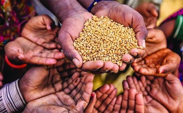 325 triệu người bên bờ vực nạn đói, thế giới kêu gọi phối hợp bảo đảm an ninh lương thực toàn cầu