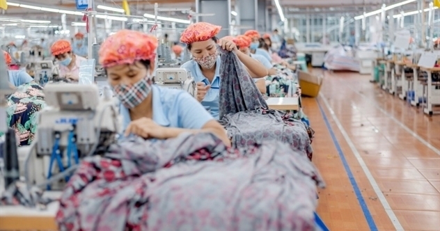May Sông Hồng dự kiến phát hành 25 triệu cổ phiếu trả cổ tức