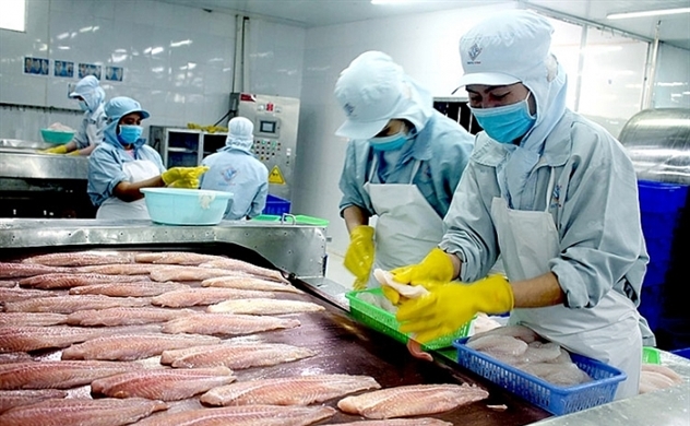 Doanh nghiệp đầu tư lớn để sản xuất gia vị từ cá tra