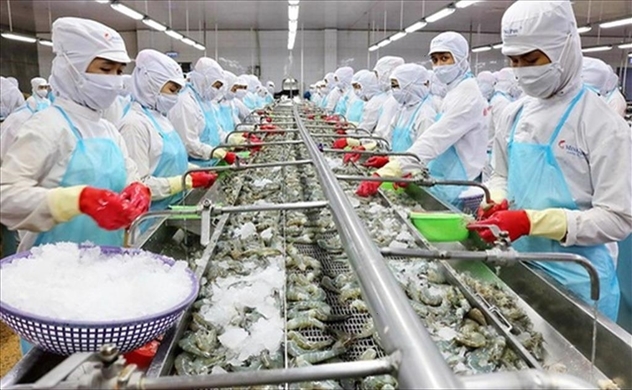 Seafood exports rise by 26% reaching $2 billion in 6 months