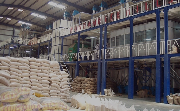 Xuất khẩu gạo tăng cả lượng lẫn chất nhưng nhiều doanh nghiệp lớn vẫn không có lãi