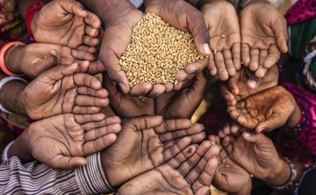 Mất an ninh lương thực nghiêm trọng đe dọa 345 triệu người toàn cầu