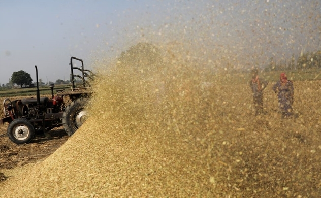 Ấn Độ hạn chế xuất khẩu gạo, Việt Nam liệu có hưởng lợi?