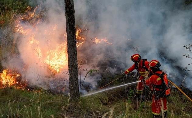 9 nước châu Âu có diện tích cháy rừng mới cao kỷ lục