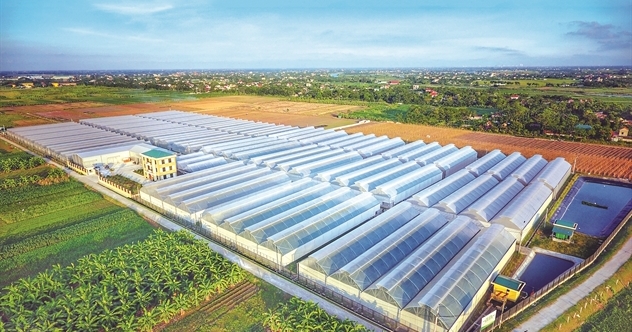 Giải mã hệ sinh thái ngàn tỉ của PAN