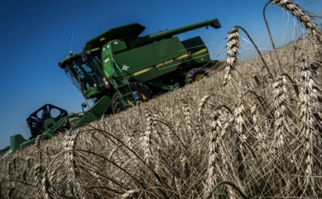 Giá ngũ cốc tăng vọt khi Nga bất ngờ rút khỏi thoả thuận xuất khẩu với Ukraine