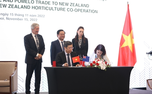 New Zealand nhập khẩu bưởi và chanh từ Việt Nam