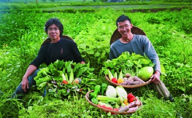 Organic agricultural products rise by more than 418% in export value