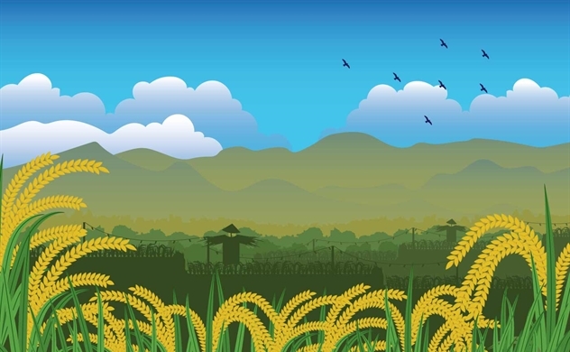 Những nước sản xuất lúa gạo lớn nhất thế giới
