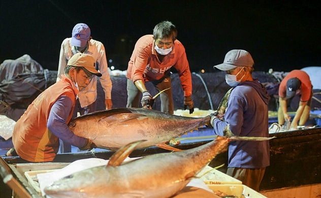 Vietnam becomes the third-largest seafood exporter in the world