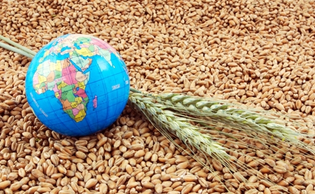 Giá lương thực toàn cầu ở mức cao kỷ lục trong năm 2022