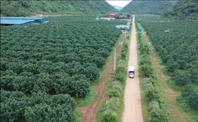 Nhiều doanh nghiệp Việt có bước tiến mới trong phát triển xanh