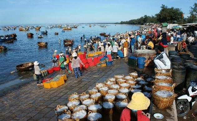 Vietnam's seafood industry achieves US-Level production