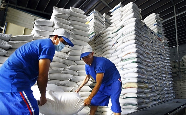 Xuất khẩu gạo sôi động nhờ giá và nhu cầu tăng