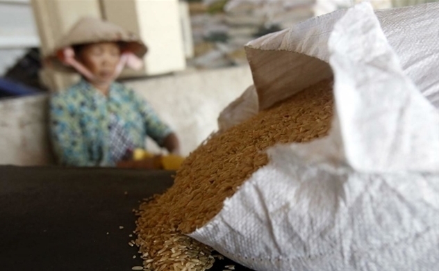 Vietnam's 2022 rice exports to Taiwan increases 18.5%