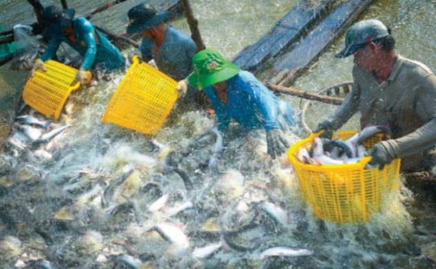 Vietnam's Agro-Forestry-Fishery Exports Increase by 5.7% in February 2023