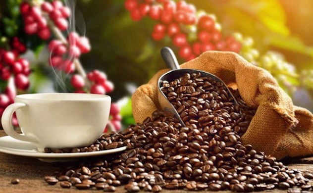 Viet Nam becomes biggest coffee supplier for Spain