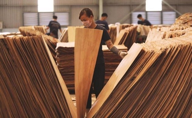 US extends duty evasion probe into plywood from Vietnam