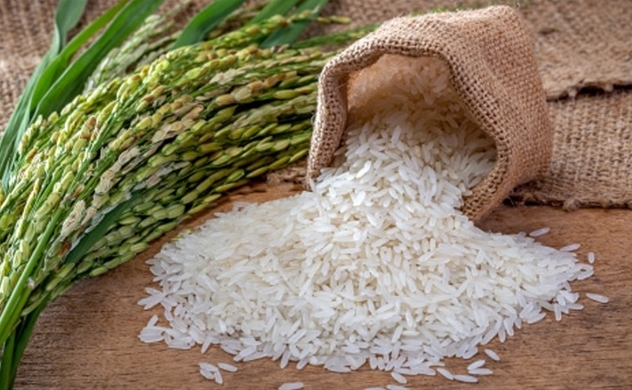 Vietnam Q1 rice exports at 1.79 mln T, up 19.3% year-on-year