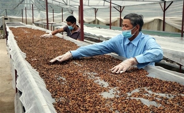 Stocks of coffee producers less appealing on market