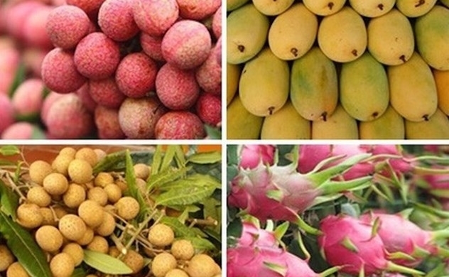 Vietnamese fruits gain strong foothold in Australia