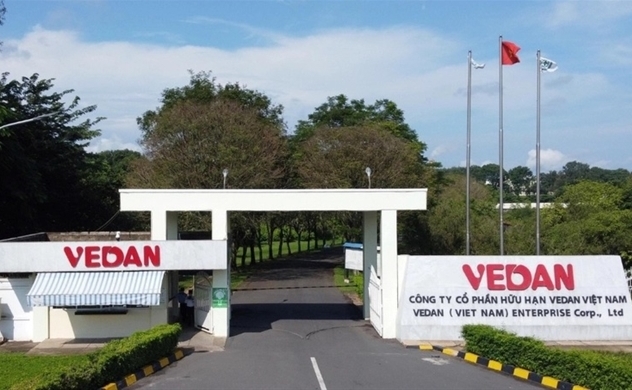 Food seasoning firm Vedan records 2022 sales of $195 mln in Vietnam