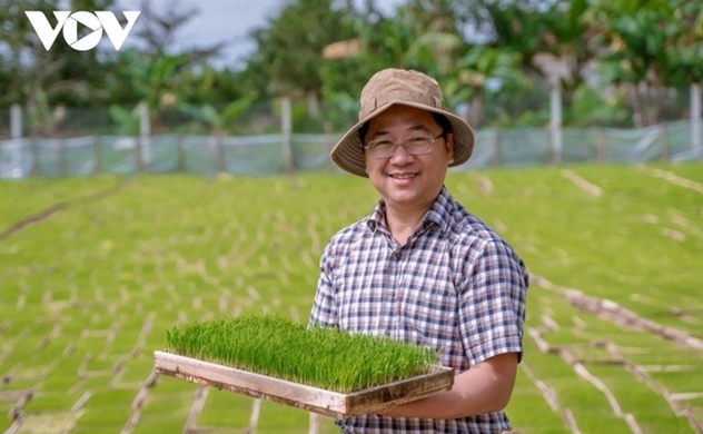 Quang Tri sends first shipment of organic rice to Europe