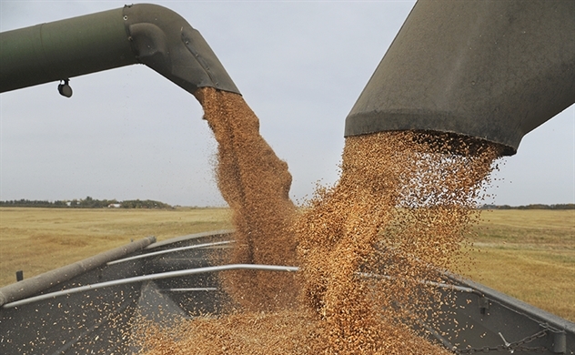 Chiến tranh đã chuyển hướng xuất khẩu ngũ cốc của Ukraine như thế nào?