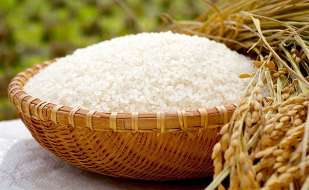 Rice export turnover surges in four months