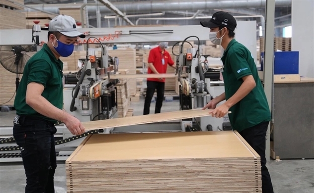 Hong Kong firm becomes major shareholder in Vietnam wood major Truong Thanh