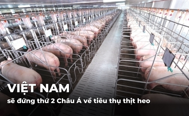 Việt Nam sẽ đứng thứ 2 châu Á về tiêu thụ thịt heo